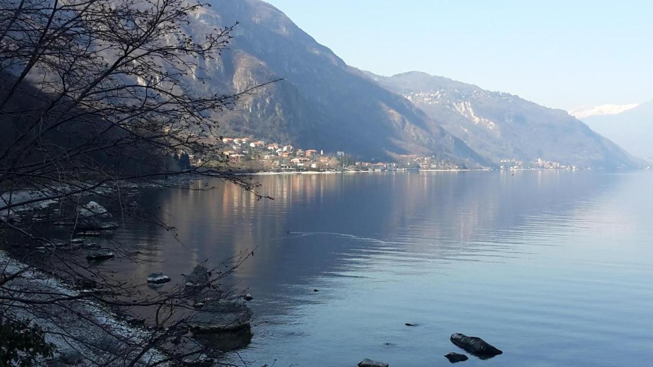 Oliveto Lario New Eleven Apartment On Como Lake מראה חיצוני תמונה